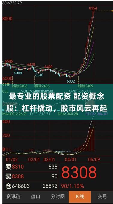最专业的股票配资 配资概念股：杠杆撬动，股市风云再起
