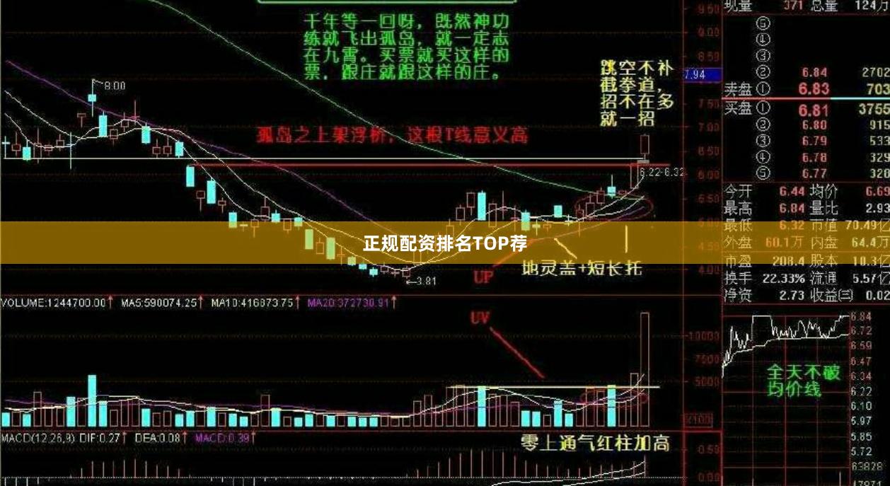 正规配资排名TOP荐