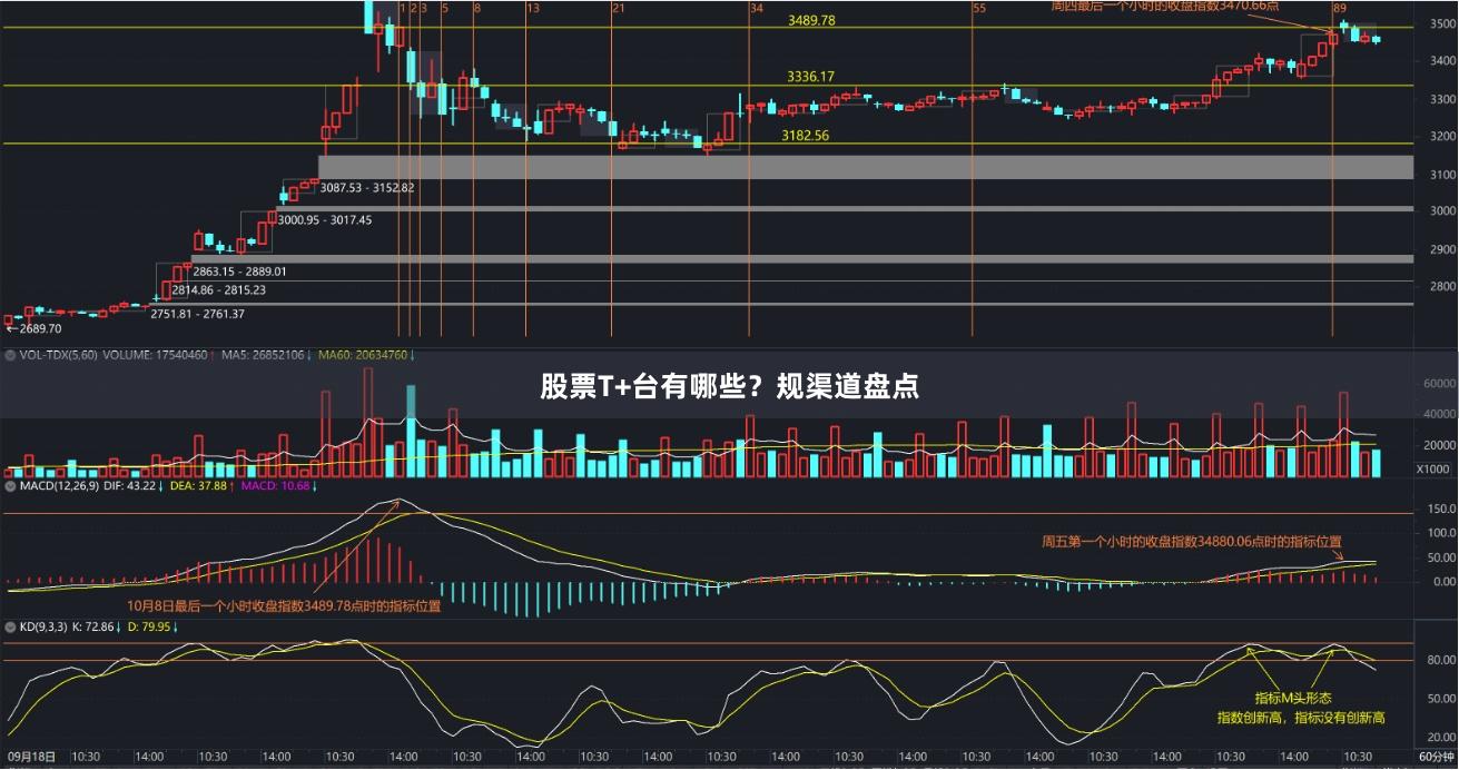 股票T+台有哪些？规渠道盘点